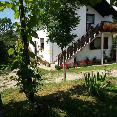 Apartment Manda Rakovica Exterior photo